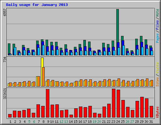 Daily usage for January 2013