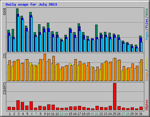 Daily usage for July 2013