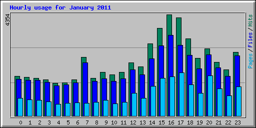 Hourly usage for January 2011