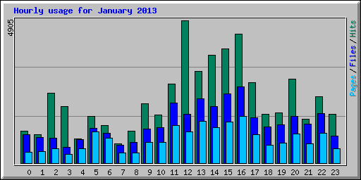 Hourly usage for January 2013