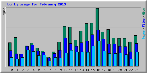 Hourly usage for February 2013