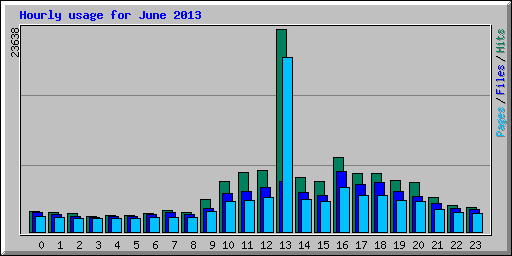 Hourly usage for June 2013