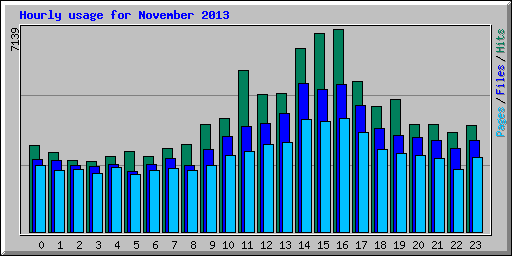 Hourly usage for November 2013